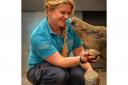 Apprentices are being sought to work at Chester Zoo.