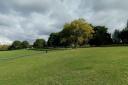 Mountsfield Park.