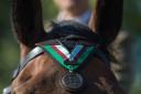 Galaxy ridden by Capt Nick Watson of the Kings Troop, Royal Horse Artillery receives the Honorary PDSA Dickin Medal on behalf of WWI war horse Warrior. Picture courtesy of Stefan Rousseau/PA Wire