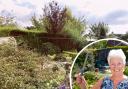 Bargain hunter Karen saves £5k transforming overgrown 'jungle' into dream garden