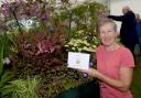 Lifelong lover of plants Sue Beesley receives her fifth gold medal in a row at the RHS Tatton Flower Show