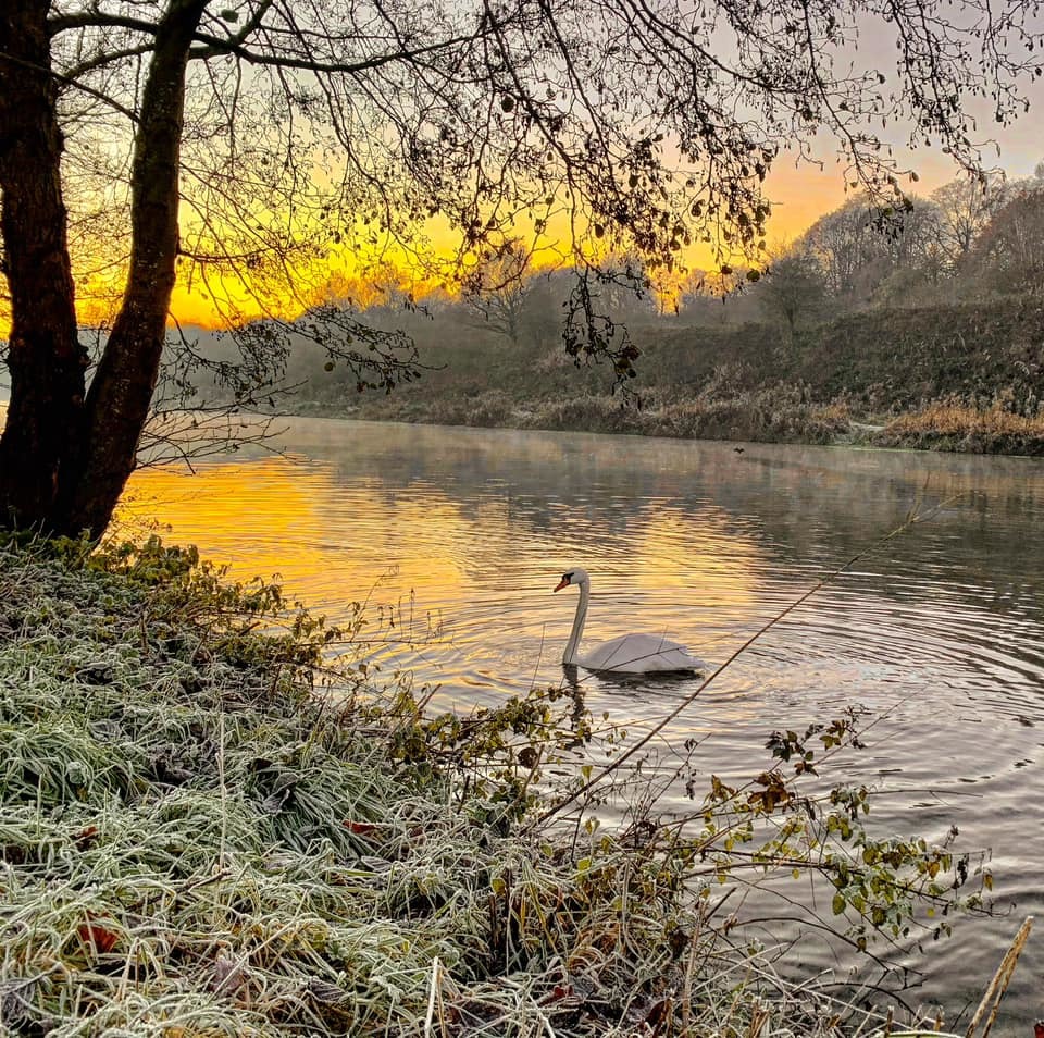 Early evening frost on the river Weaver by Martin Dignum