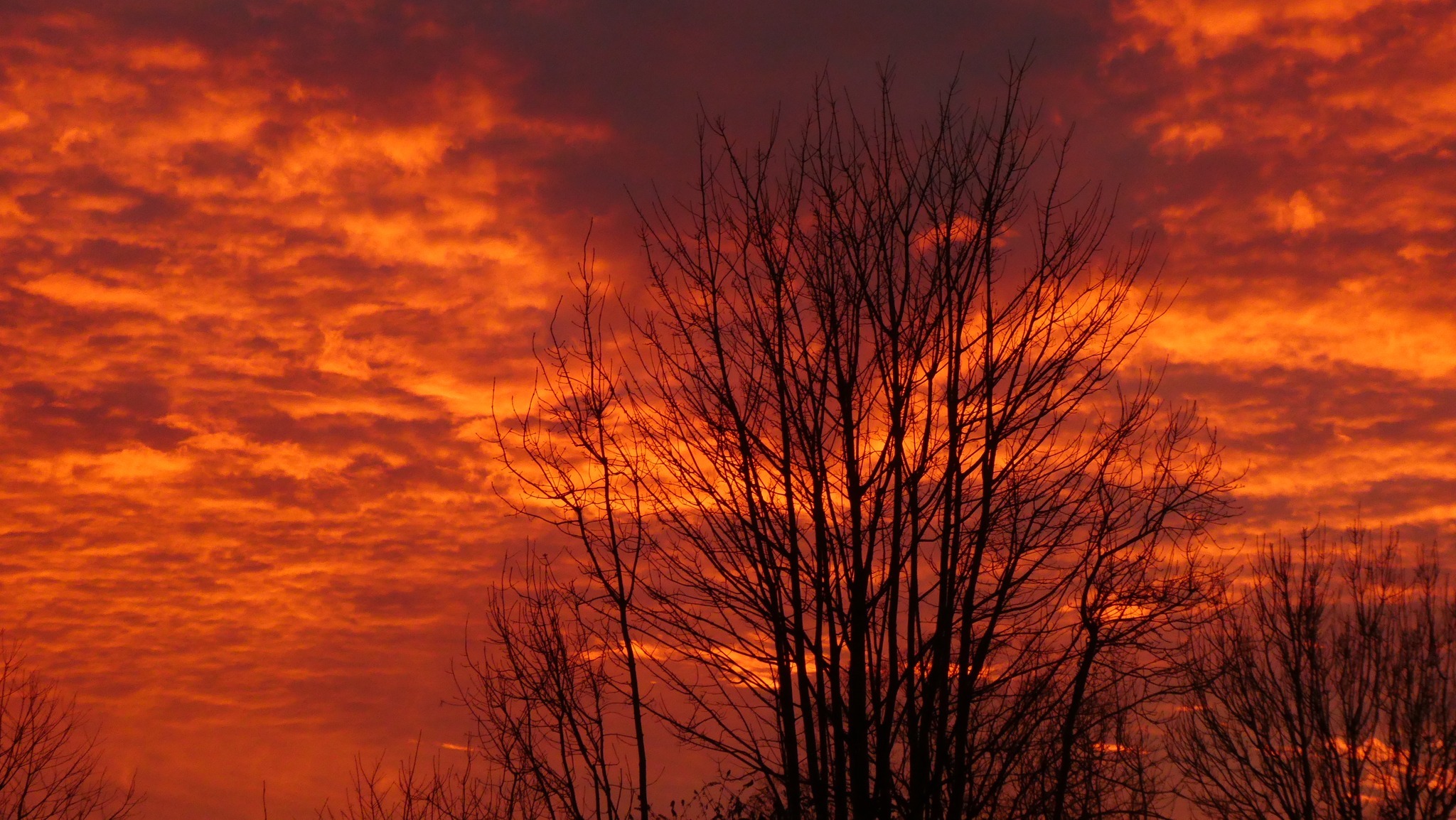 Fiery sky in Northwich by Lynne Bentley