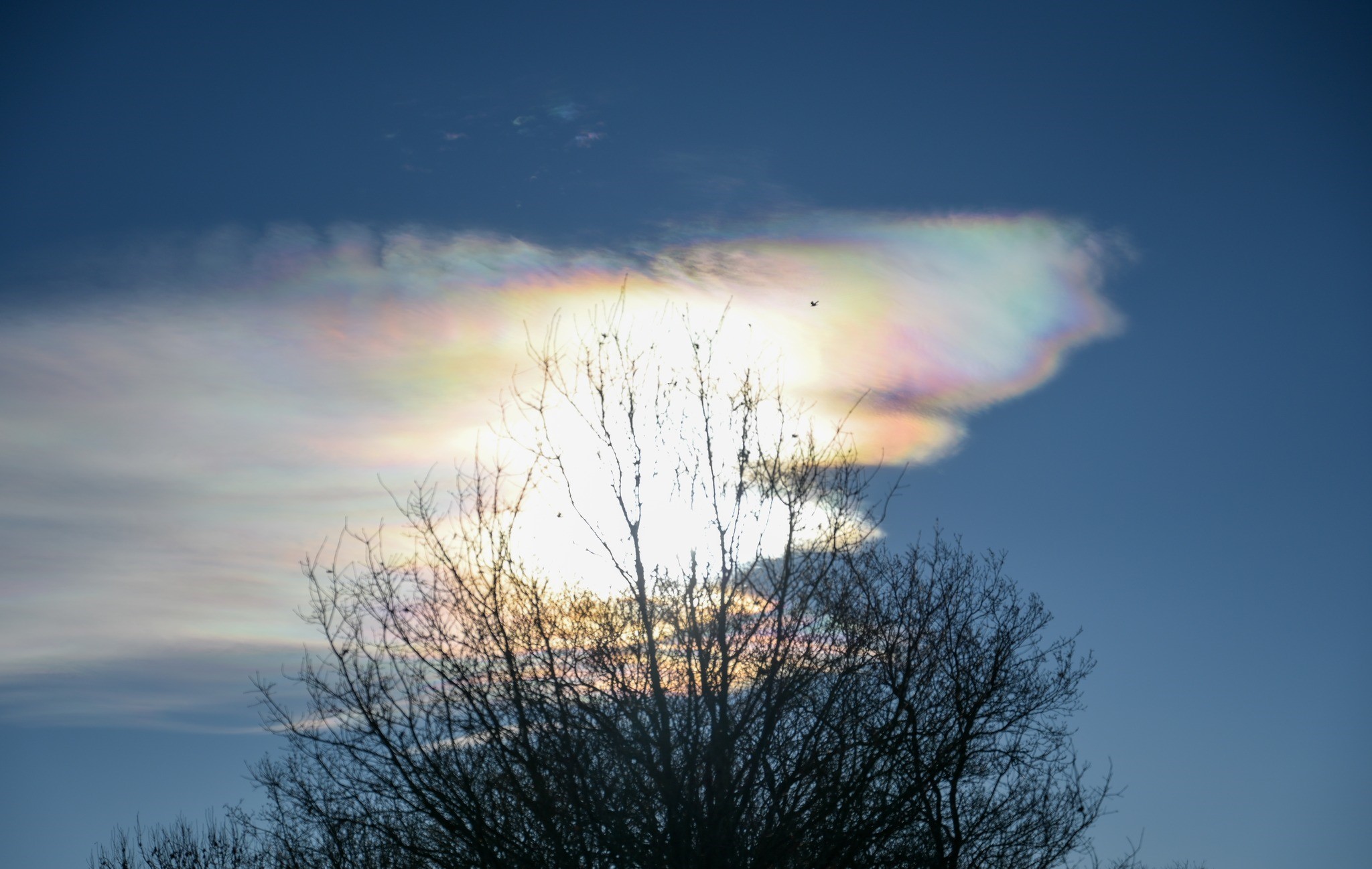 Nacreous clouds in Winsford by Lynzi BLake