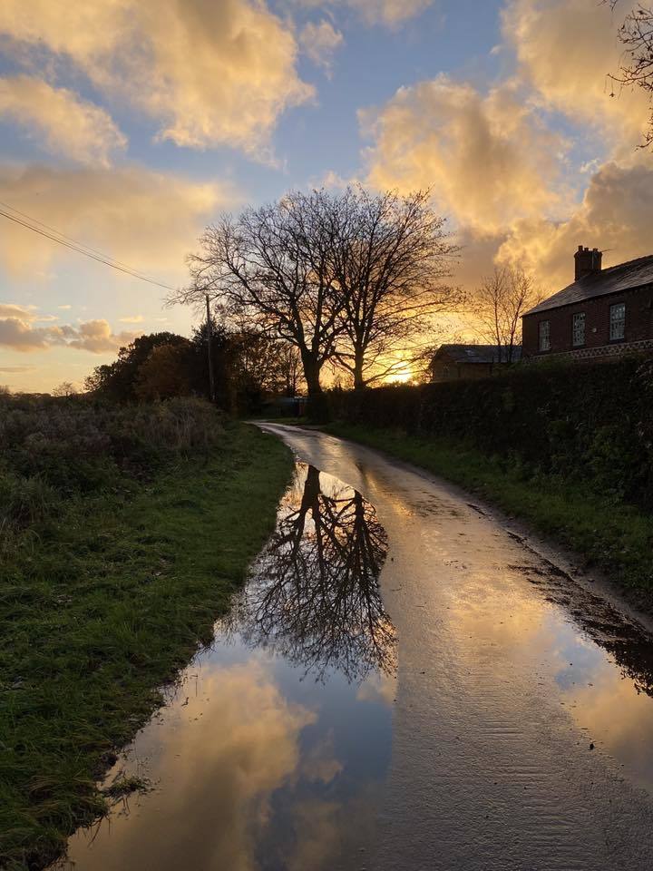 Afternoon puddle reflections by Sue Lawless