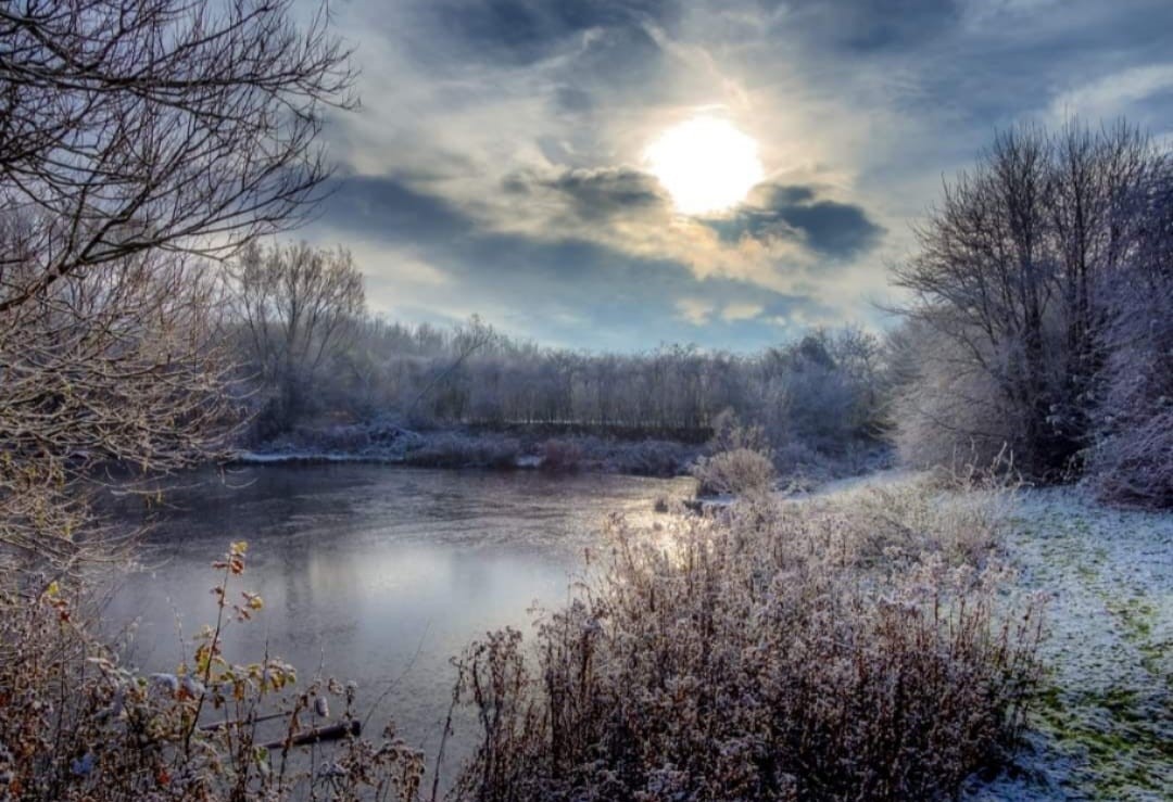 Frozen pond at Anderton by Donna Maria Long