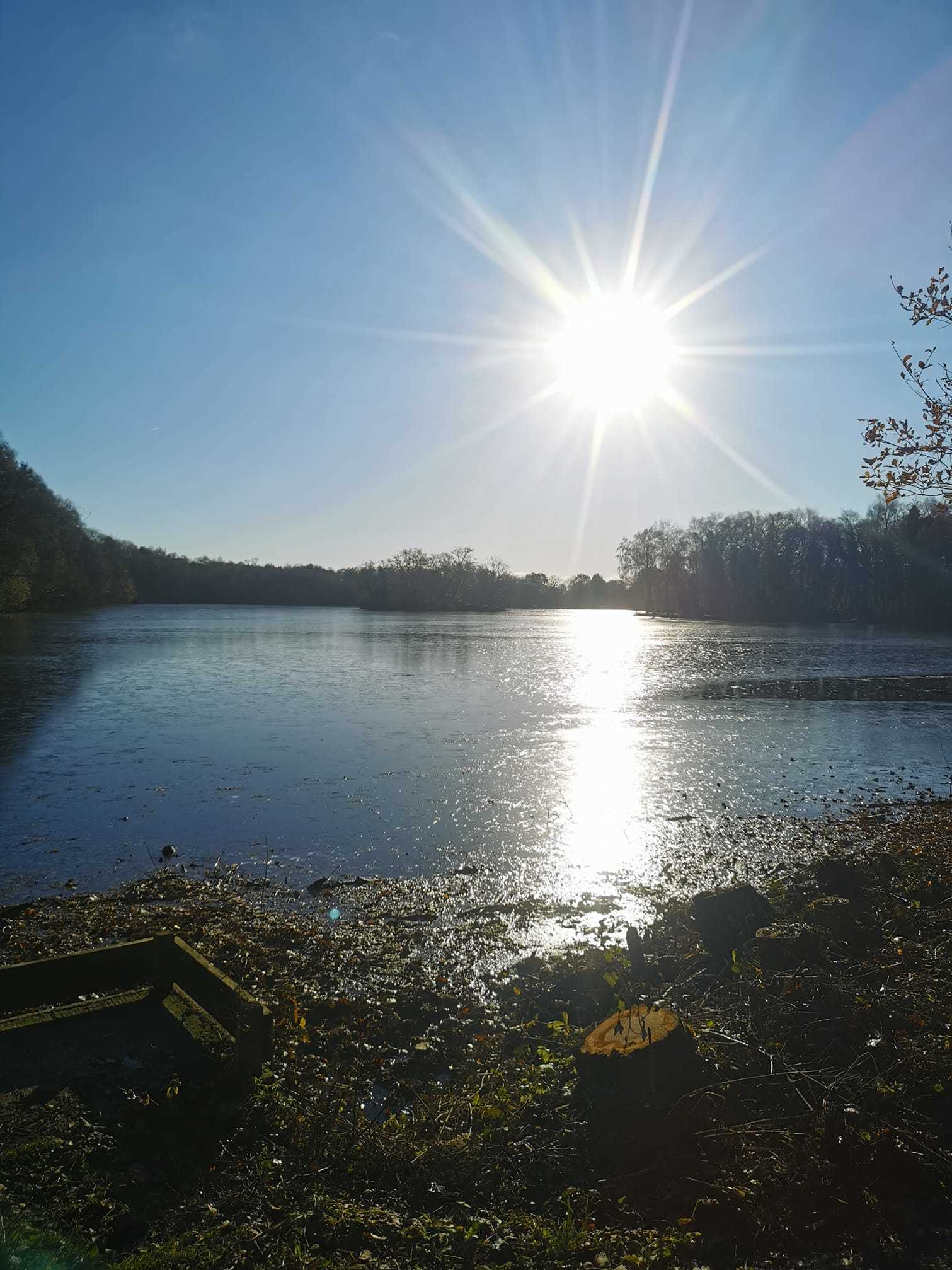 Shakerley Mere by Ann Marie Taylor