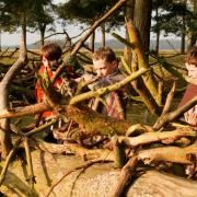 Children build a makeshift shelter during a Viking educational programme at Tatton Park
