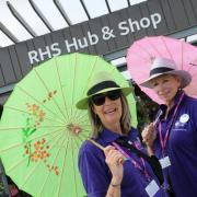 Jane Willis and Judith Hurst from the RHS Hub and Shop at the RHS Tatton Flower Show