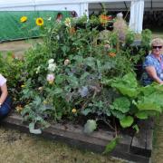Angela Ball and Sue Gatfield at the Foraging in the Garden display at the RHS Tatton Flower Show