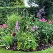 This pretty circular flower bed at Victoria Cottage is one of 15 private gardens welcoming visitors