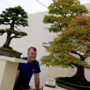 Mike Whittaker at the Cheshire Bonsai Society display which won  its 15th gold medal at the RHS Tatton Flower Show