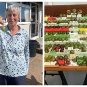 Maiden grower Hazel Sutcliffe and the box of winning berries at Holmes Chapel Gooseberry  Show