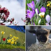 Photographers capture the first day of spring in Mid Cheshire