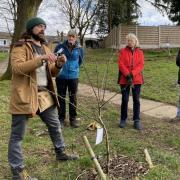 Orchard expert Dan Hasler ran a free winter pruning workshop earlier this year