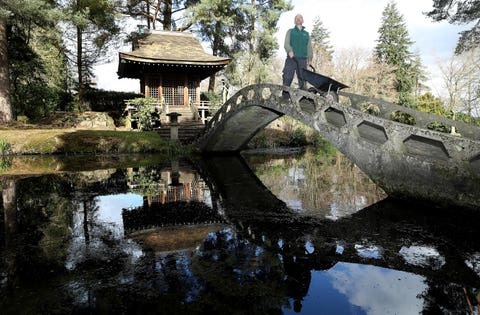 Head gardener Simon Tetlow stands in the Japanese Garden as he prepares for the return of visitors to Tattons gardens. PA IMAGES/Martin Rickett