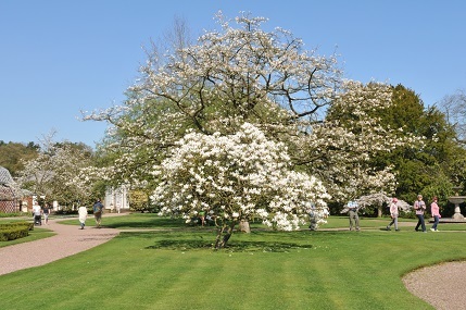 Tatton Park in spring 
