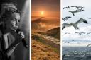 The Jazz Singer by Nigel Wells, Sunrise over Man Tor by John Cridland and Gannet Frenzy by Joe Morris, three images featured in Knutsford Photographic Society's exhibition