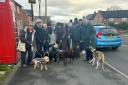 Mobberley villagers launch a new dog walking group
