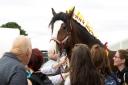 The Heavy Horse competition at the Royal Cheshire County Show