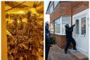 Cannabis uncovered in a police raid in Handforth