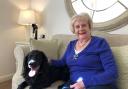 Cranford Grange resident Maureen Paton, known as Mo, loves spending time with Loki
