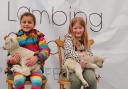 Children enjoy cuddling new born lambs Pictures: The Lambing Shed