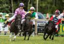 A Shetland Pony Grand National promises race day excitement at this year's Royal Cheshire County Show
