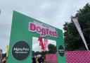 We went to DogFest's Cheshire event and had a paw-some time