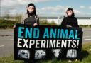 Animal rights activists protest at Manchester  Airport over the import of monkeys and dogs for research laboratories
