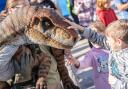 An interactive dinosaur day promises plenty of half term fun for children