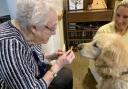 Vera Evans, a resident at Cranford Grange, gives Usher a biscuit