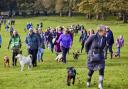 Celebrity dog lover Clare Balding joins hundreds of pet owners for a winter walk at Tatton Park