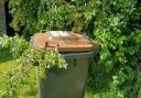 A Cheshire East garden waste bin