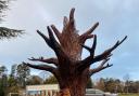 Chainsaw wood sculptor Andy Burgess has carved a memorial tree in the grounds of Radbroke  Hall
