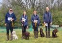 The Cheshire K9 Training team - Jodie Coutts and Amber, Jo Hibbert and Alfie, Heather Gibbs and Isla, and Lewis Evans and Tain