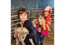 You can experience lambing season at this family run farm in High Legh