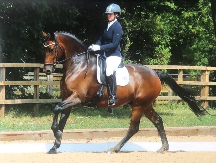 Becky riding Hennessy at the regiional dressage where she qualified for the nationals