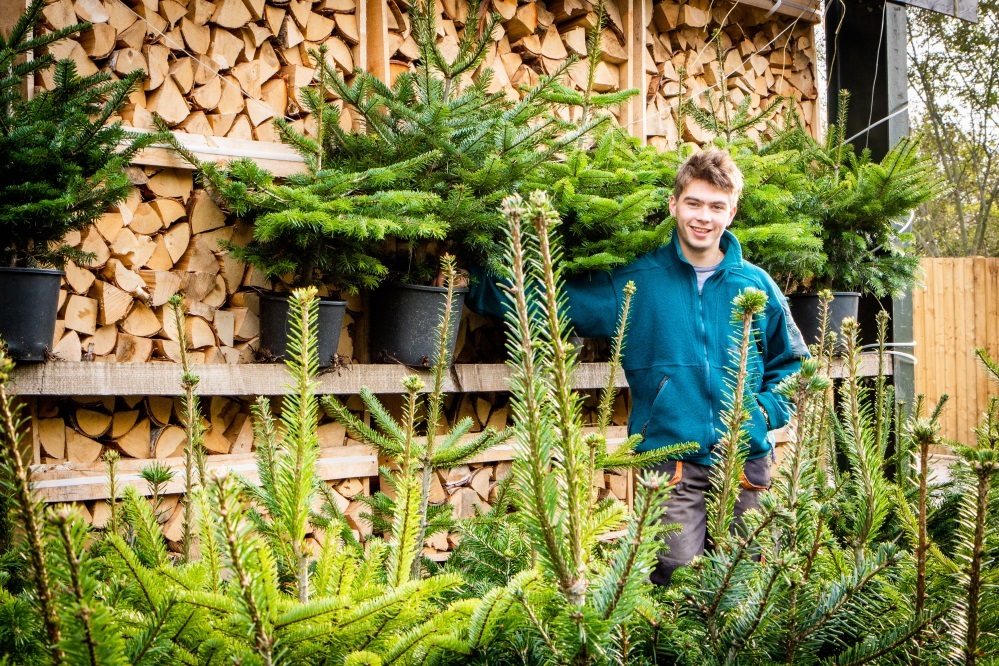 Tom Liptrott with some of the Christmas trees