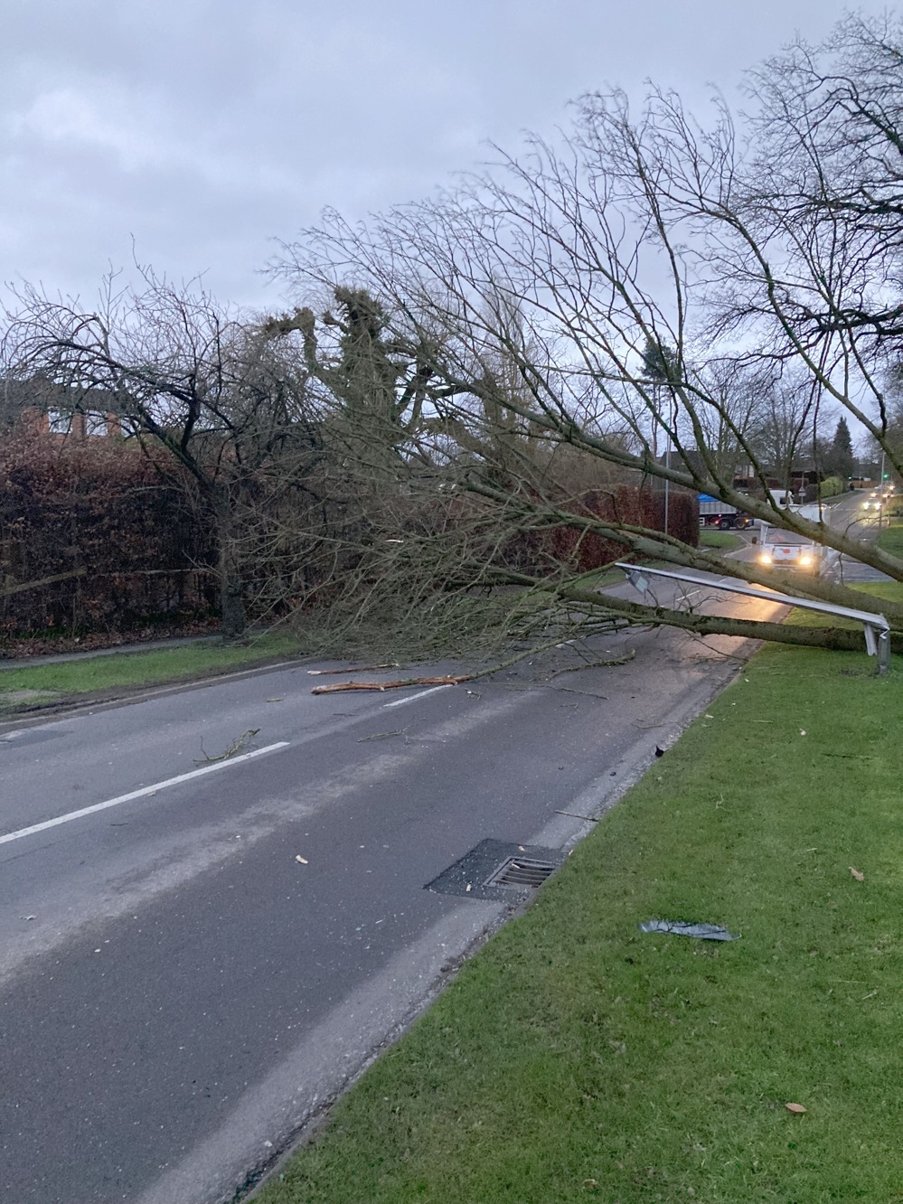 A fallen tree blocks a main route to the motorway