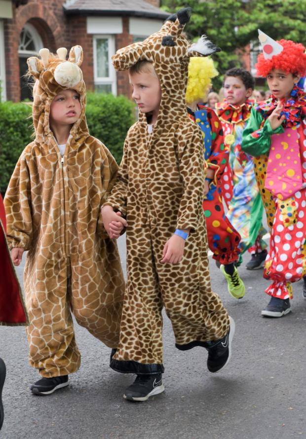 Knutsford Guardian: Children brought animals to life with lots of colourful costumes Picture: Andy Easthope