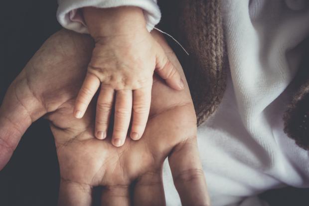 Knutsford Guardian: A Father and child's hand next to each other. Credit: Canva