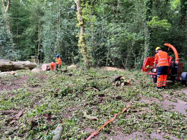 Knutsford Guardian: Tree surgeons gave up their time to make the nature reserve safe agaiin