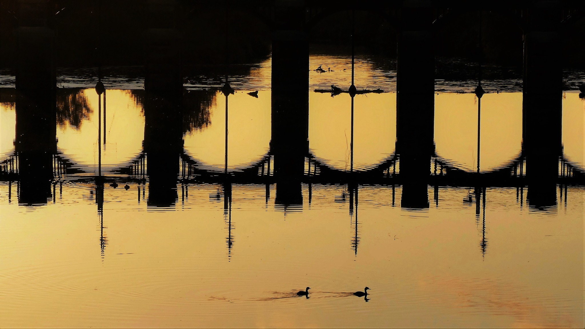 Golden hour at Dutton Locks by Lynne Bentley
