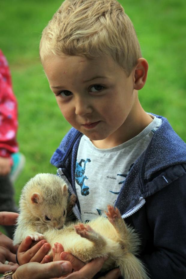 Knutsford Guardian: Children will be able to get close up with creatures great and small