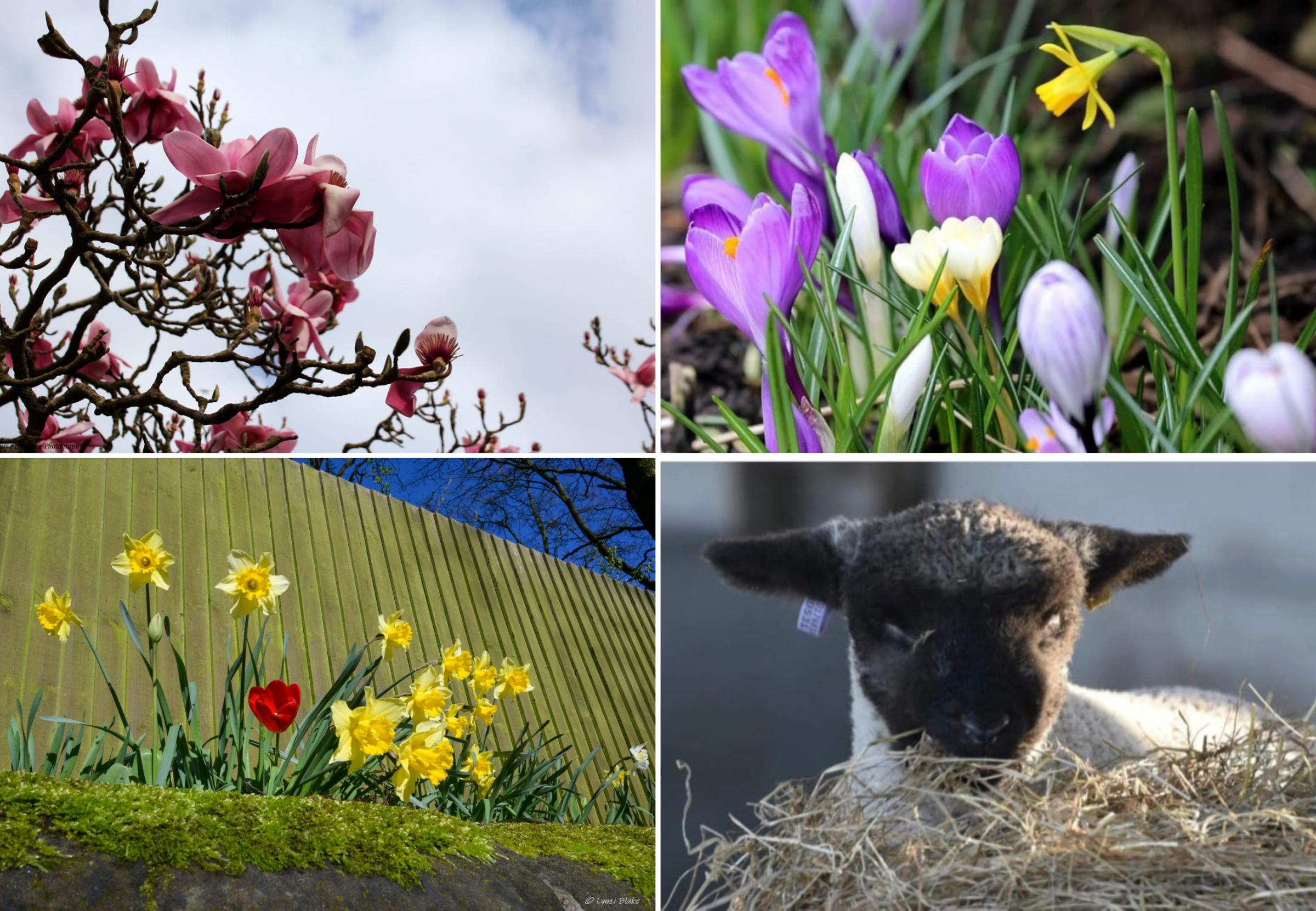 Photographers capture the first day of spring in M