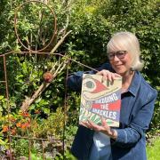 Knutsford-based artist Lynn Stein has just published her second book