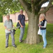 Kevin Griffiths, left, with volunteers carrying out the census of trees in Knutsford