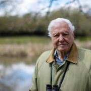 A new David Attenborough series The Mating Game is on screens this Sunday, here's how you can watch it. (Credit: PA)