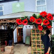 Myke Caulton Floral Couture has created a special display to support the 100th anniversary of the Poppy Appeal